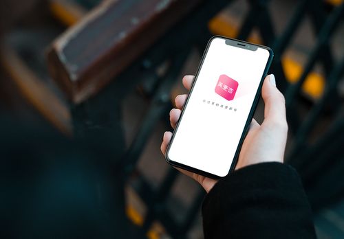 美壹客的黑马之路:品质即信任